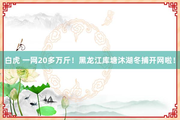 白虎 一网20多万斤！黑龙江库塘沐湖冬捕开网啦！