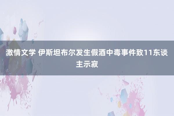 激情文学 伊斯坦布尔发生假酒中毒事件致11东谈主示寂