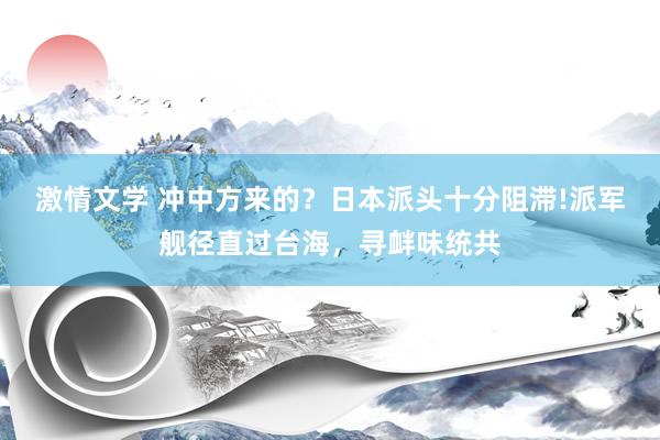 激情文学 冲中方来的？日本派头十分阻滞!派军舰径直过台海，寻衅味统共