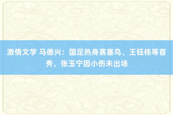 激情文学 马德兴：国足热身赛塞鸟、王钰栋等首秀，张玉宁因小伤未出场