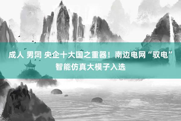 成人 男同 央企十大国之重器！南边电网“驭电”智能仿真大模子入选